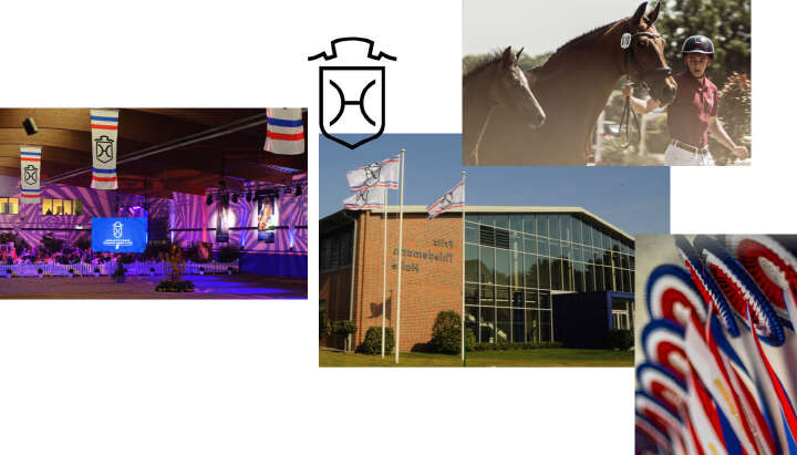 holsteiner verband derby community collage reiten pferd